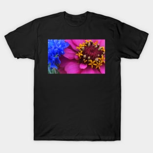 The FireWorks and Radiance of Nature T-Shirt